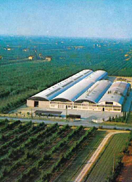 thumbs//Aziende_ceramiche/Emilia-Romagna/Castel_Bolognese/Cerindustries/stab_cerdomus_anni_70-med.jpg