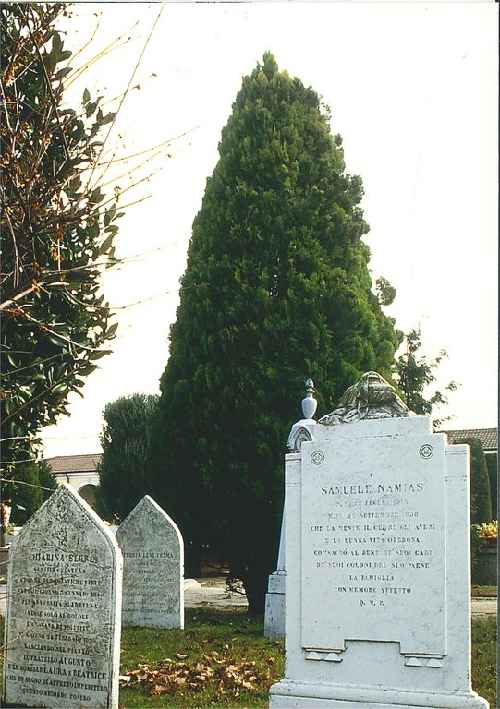 thumbs//cimiteri_ebraici/novellara/Novellara_cebraico-med.jpg